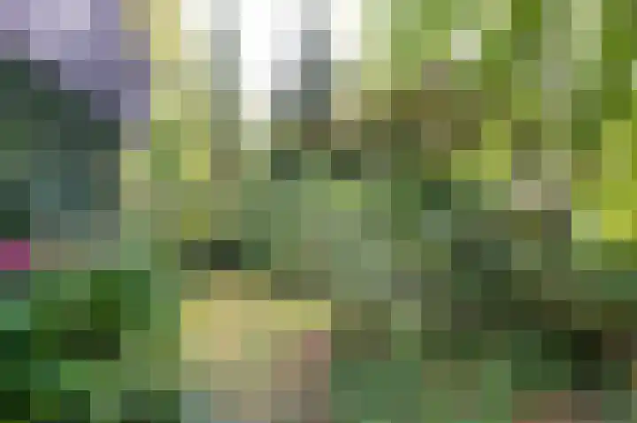 Achter de Smidse 9 Emmen thumbnail 30
