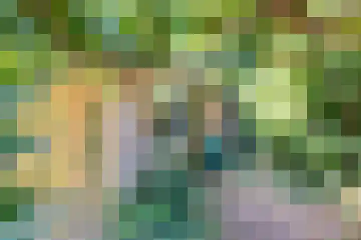 Achter de Smidse 9 Emmen thumbnail 31