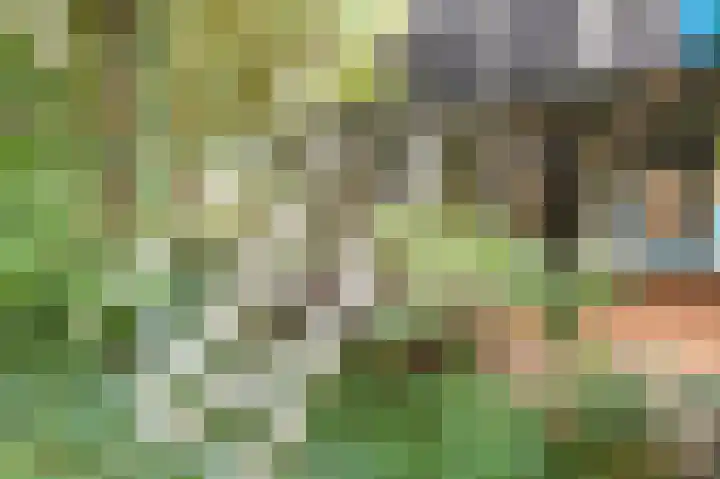 Achter de Smidse 9 Emmen thumbnail 32