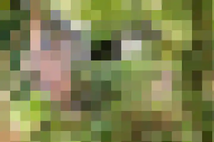 Achter de Smidse 9 Emmen thumbnail 33