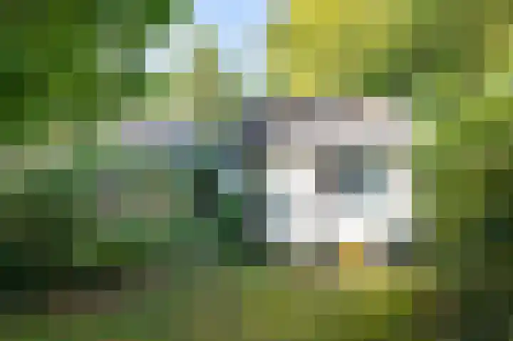 Achter de Smidse 9 Emmen thumbnail 34