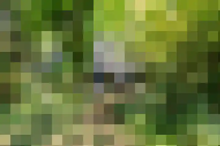 Achter de Smidse 9 Emmen thumbnail 35
