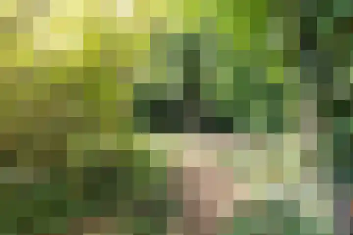 Achter de Smidse 9 Emmen thumbnail 36