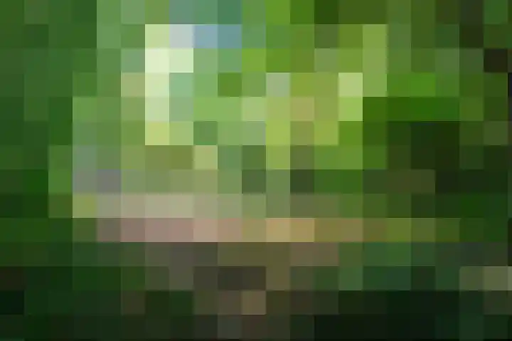 Achter de Smidse 9 Emmen thumbnail 37