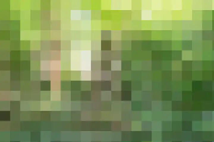 Achter de Smidse 9 Emmen thumbnail 38
