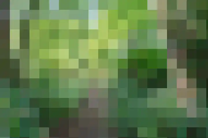 Achter de Smidse 9 Emmen thumbnail 39