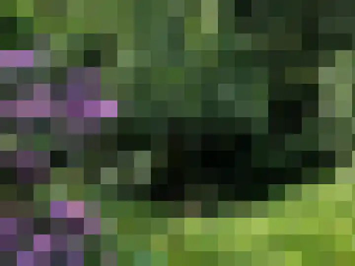 Achter de Smidse 9 Emmen thumbnail 40