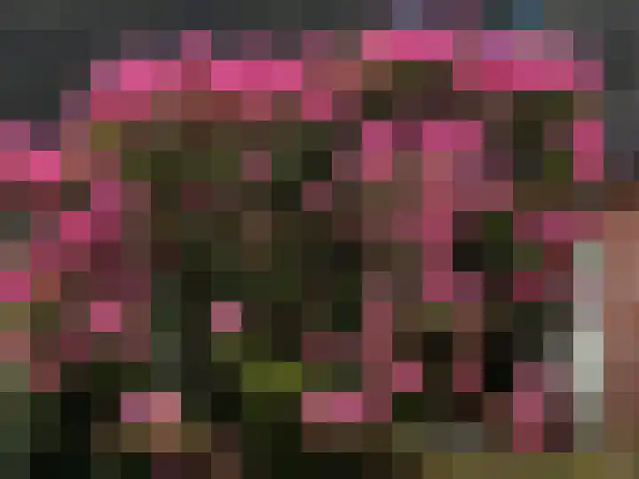 Achter de Smidse 9 Emmen thumbnail 41