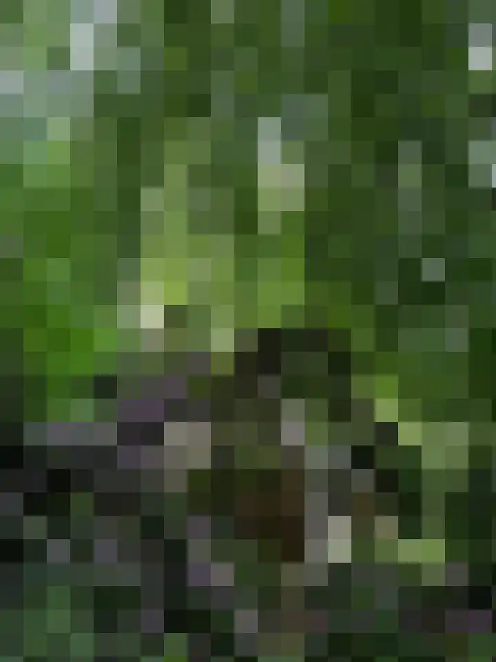 Achter de Smidse 9 Emmen thumbnail 42