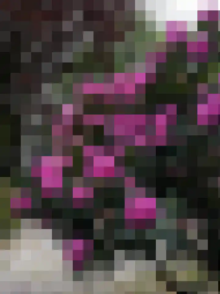 Achter de Smidse 9 Emmen thumbnail 43