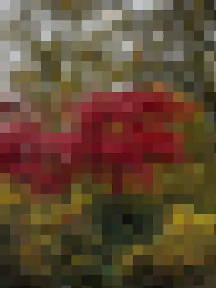 Achter de Smidse 9 Emmen thumbnail 44