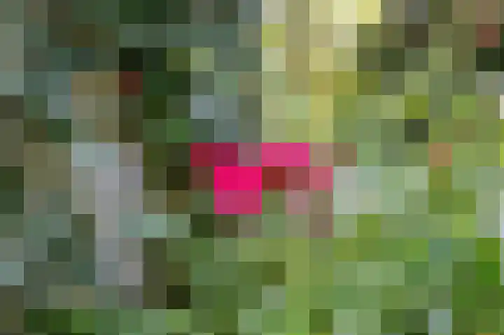 Achter de Smidse 9 Emmen thumbnail 45