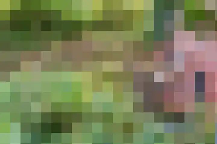 Achter de Smidse 9 Emmen thumbnail 46