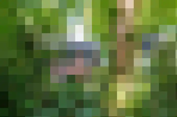 Achter de Smidse 9 Emmen thumbnail 47