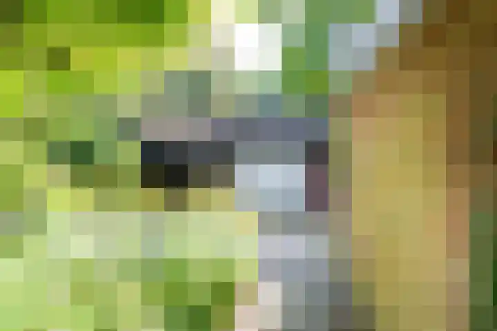 Achter de Smidse 9 Emmen thumbnail 49