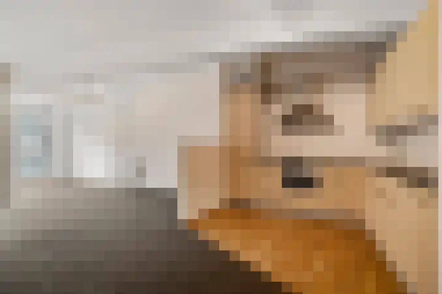 Achter de Steenen Trappen 1 Roermond thumbnail 8