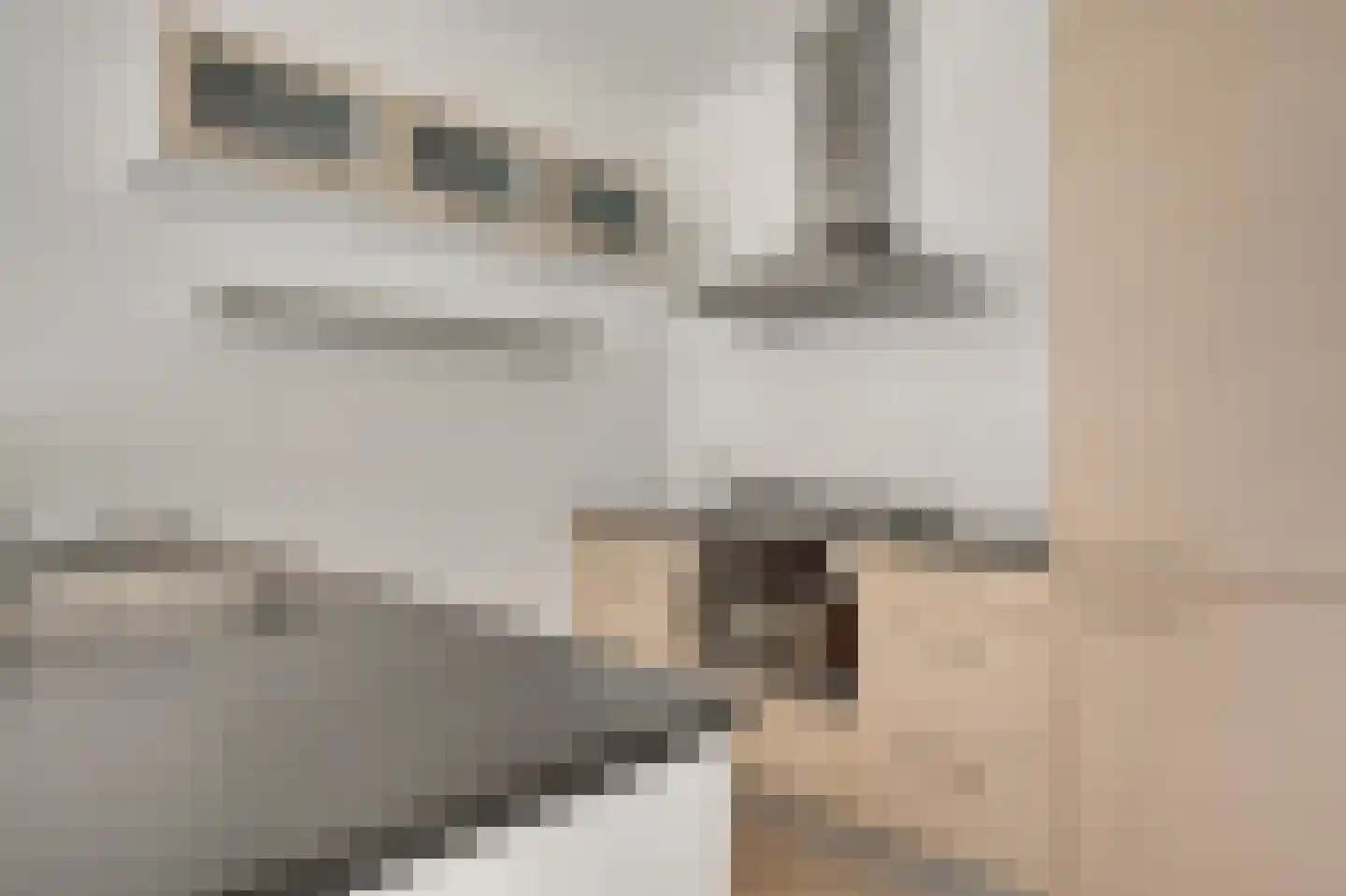 Achter de Steenen Trappen 28 Roermond thumbnail 13