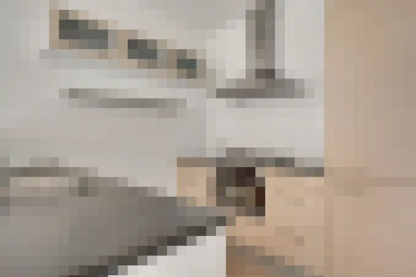 Achter de Steenen Trappen 28 Roermond thumbnail 9