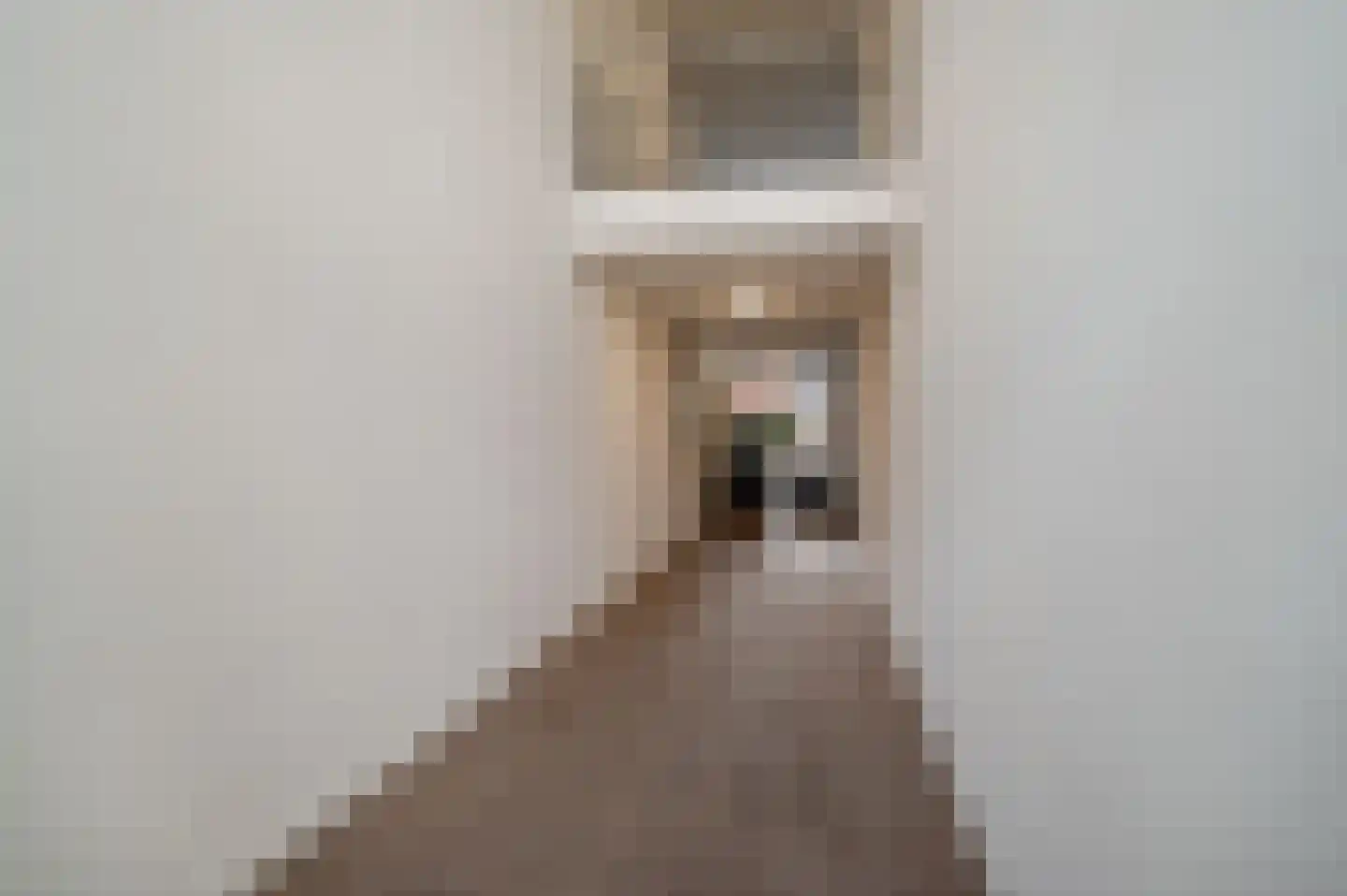 Achter de Steenen Trappen 33 Roermond thumbnail 7