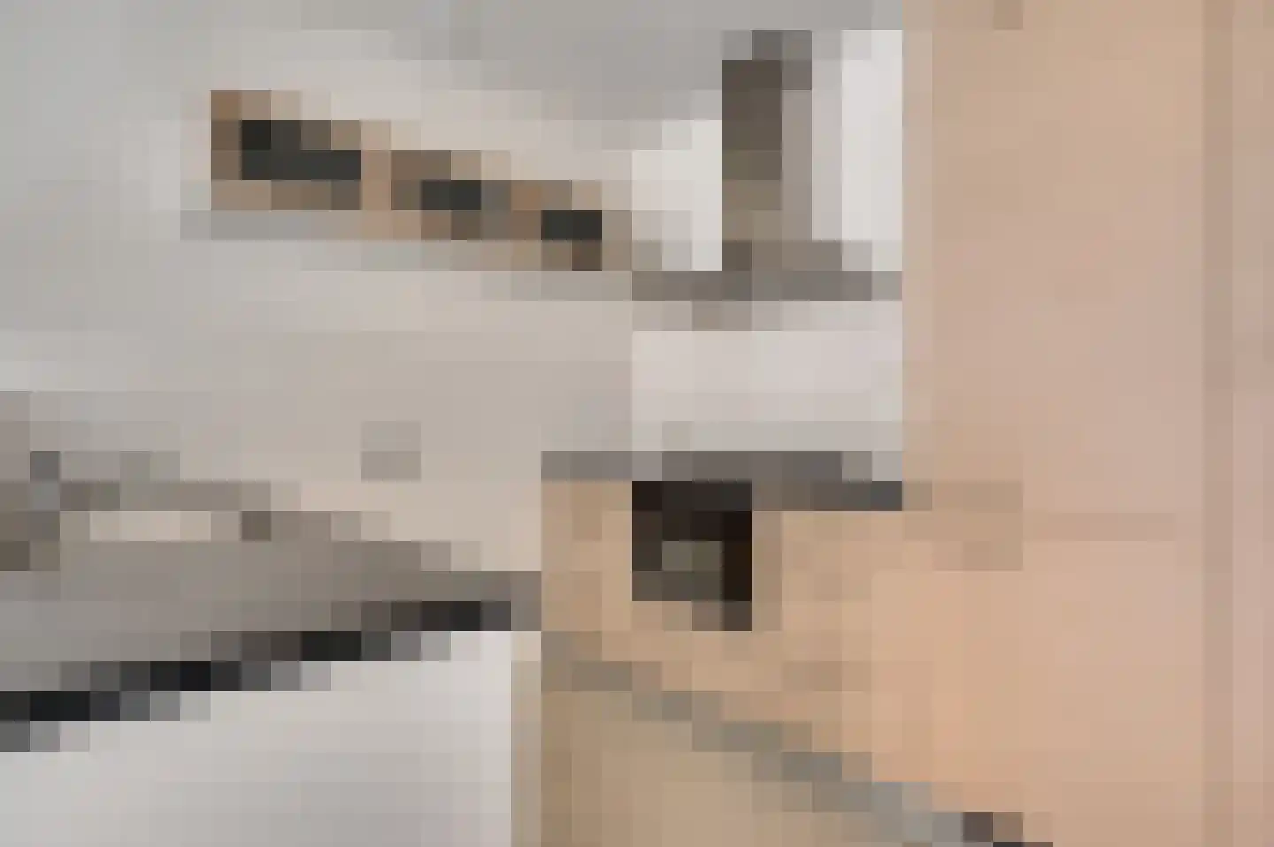 Achter de Steenen Trappen 33 Roermond thumbnail 9