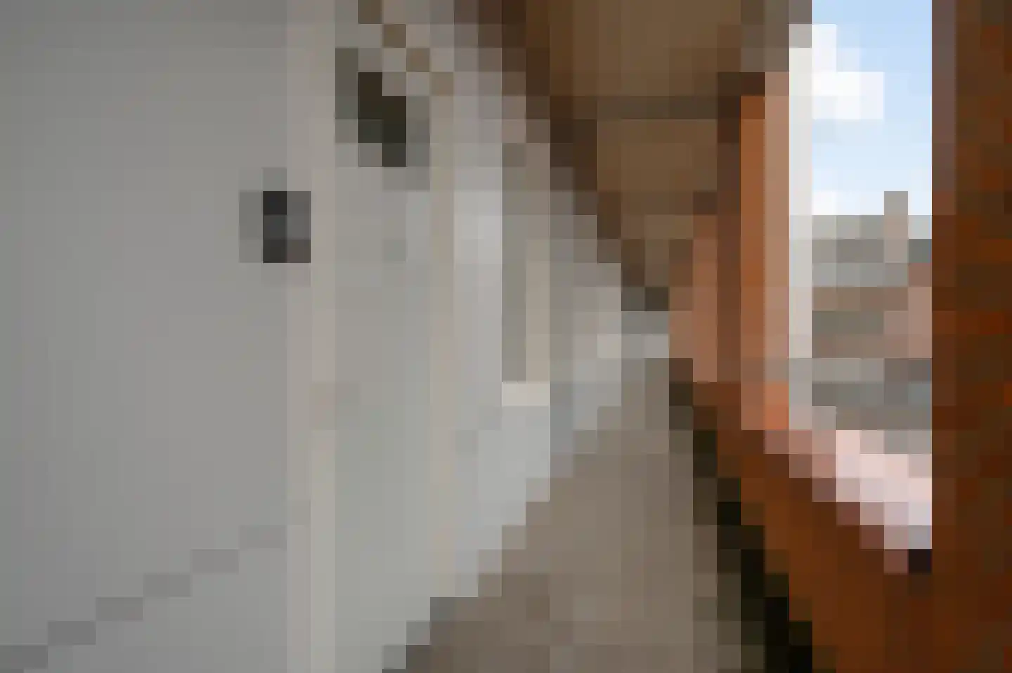 Achter de Steenen Trappen 4 Roermond thumbnail 6