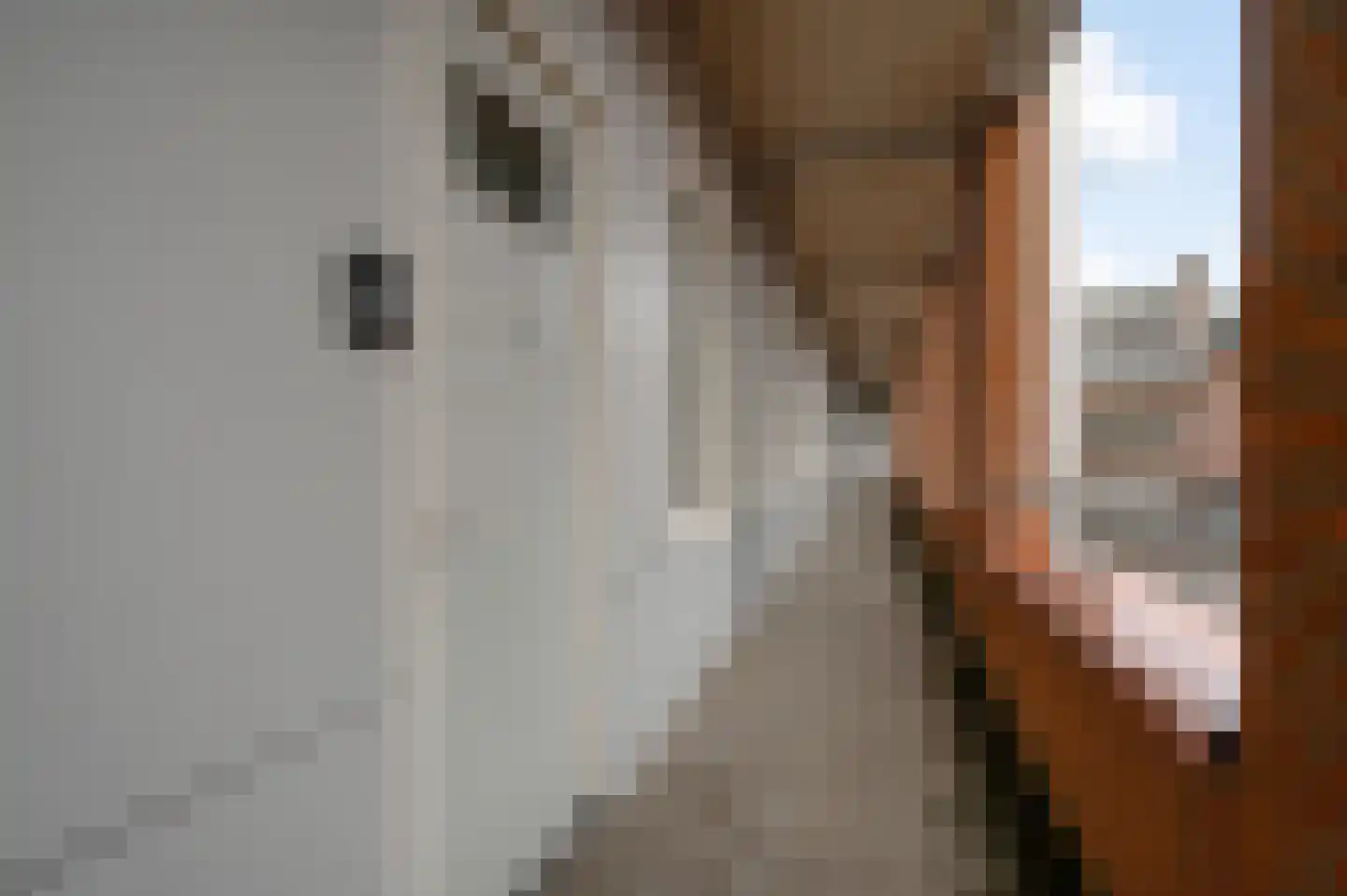 Achter de Steenen Trappen 4 Roermond thumbnail 6