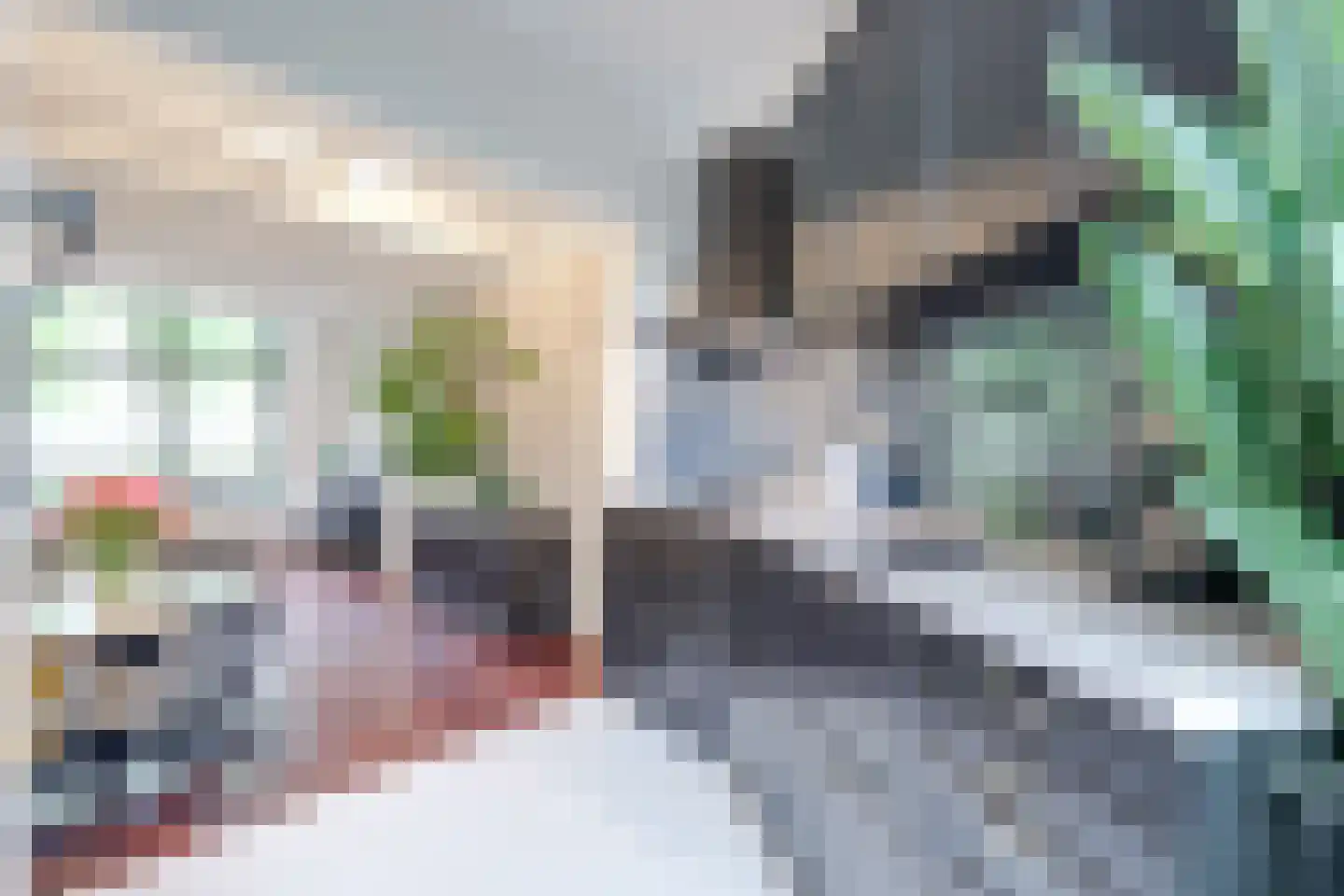 Achter de Vest 10 Hoorn thumbnail 20