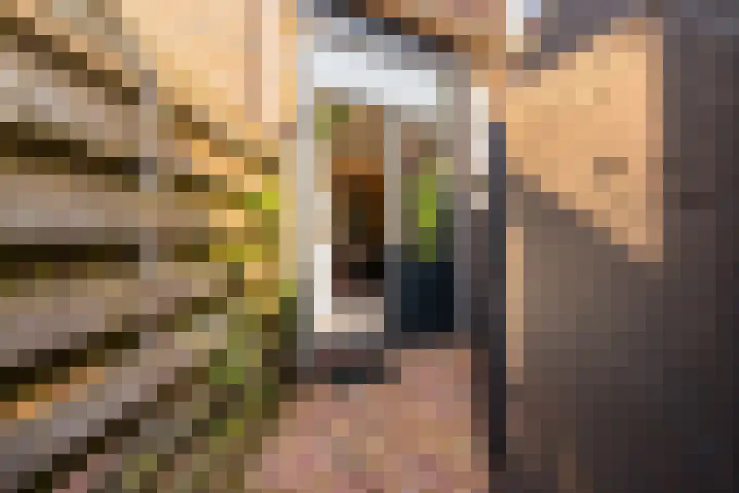 Achter de Vest 10 Hoorn thumbnail 24