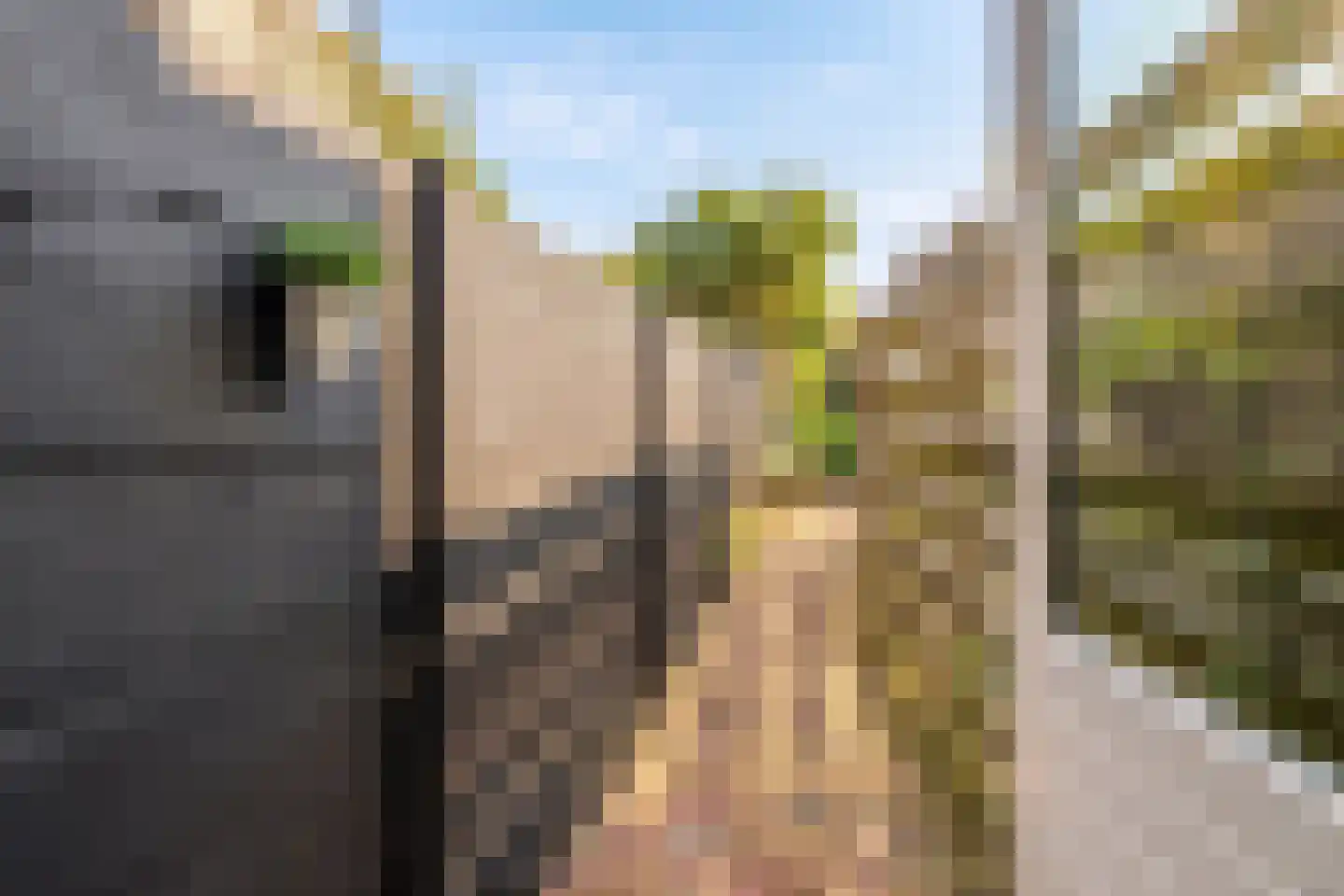 Achter de Vest 10 Hoorn thumbnail 25