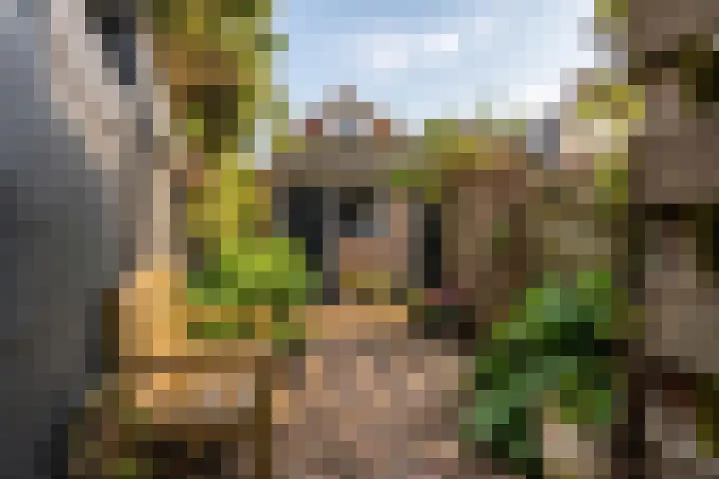 Achter de Vest 10 Hoorn thumbnail 26
