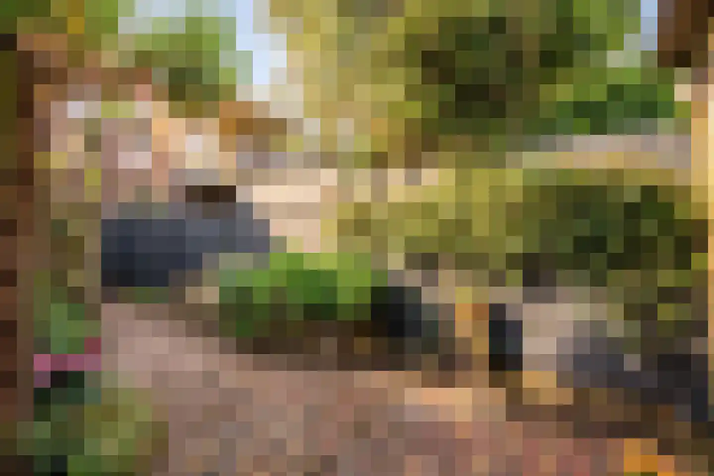 Achter de Vest 10 Hoorn thumbnail 27
