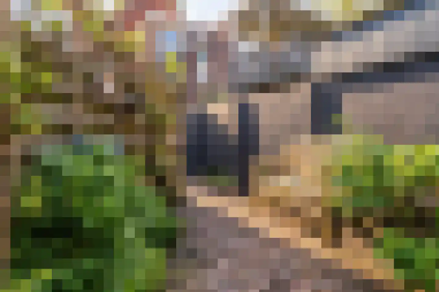 Achter de Vest 10 Hoorn thumbnail 28