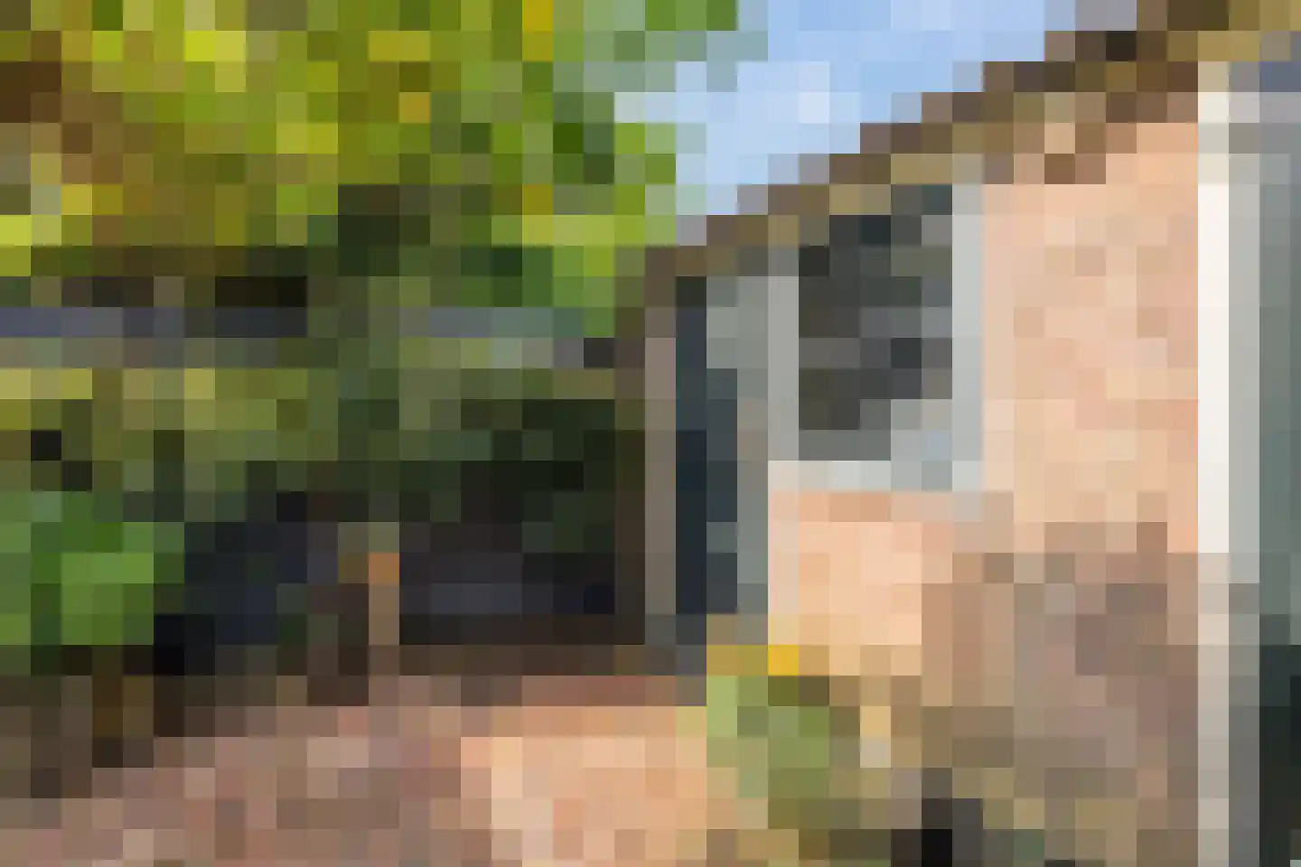 Achter de Vest 10 Hoorn thumbnail 29