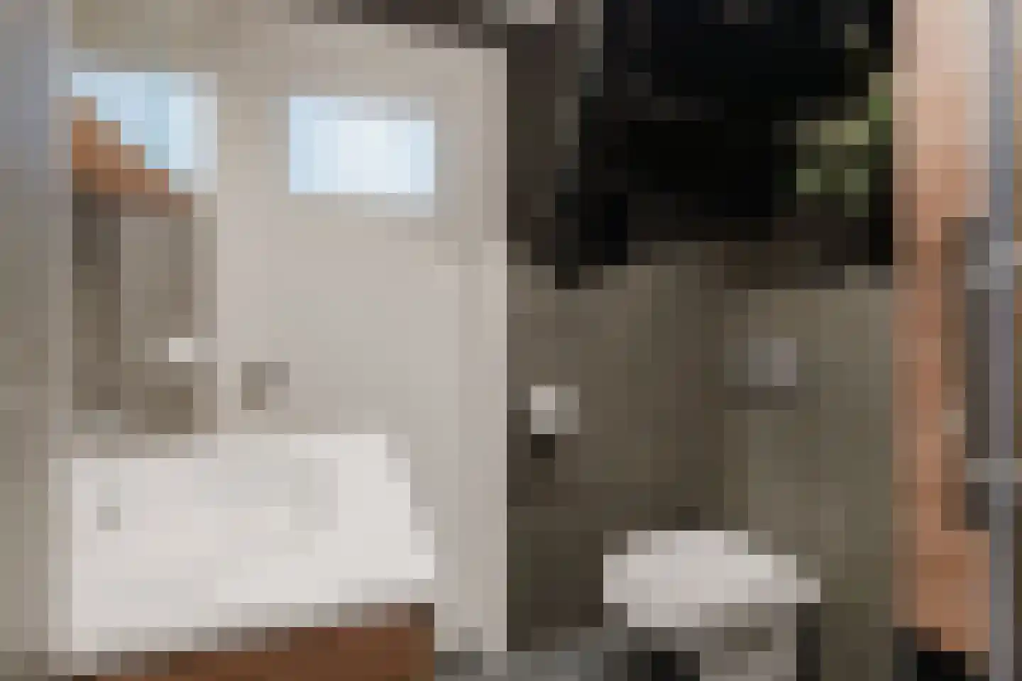 Achter de Vest 10 Hoorn thumbnail 35