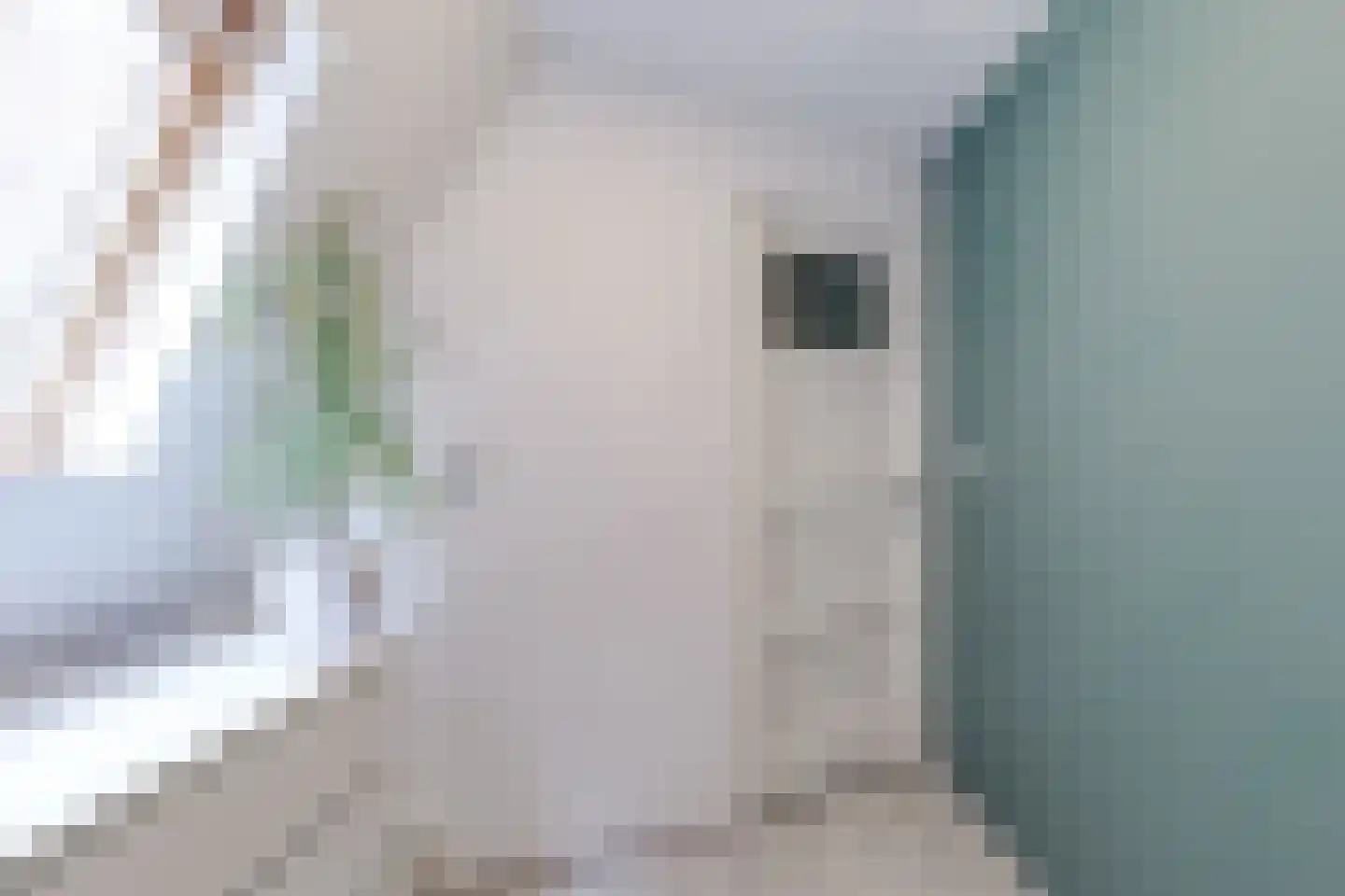 Achter de Vest 10 Hoorn thumbnail 39