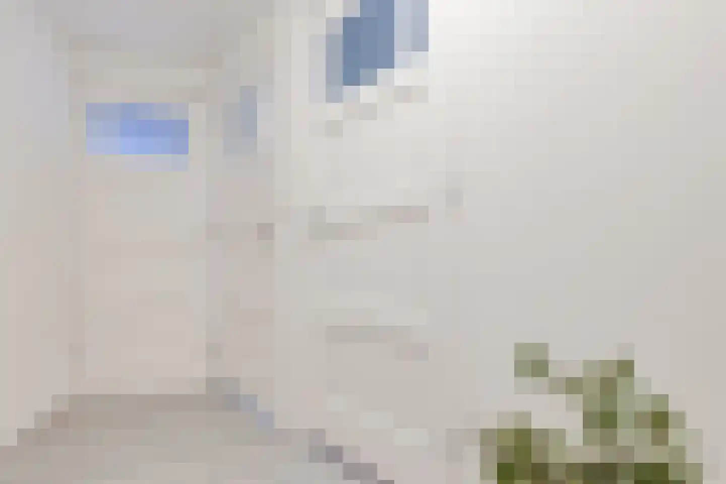 Achter de Vest 10 Hoorn thumbnail 41