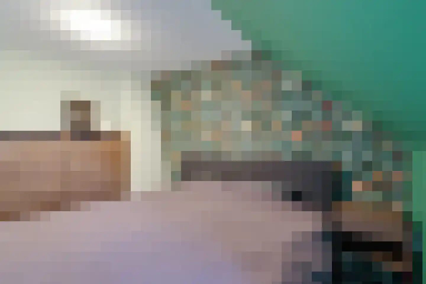 Achter de Vest 10 Hoorn thumbnail 44