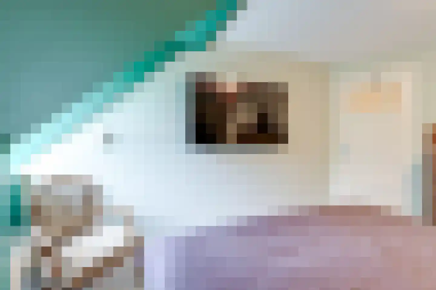 Achter de Vest 10 Hoorn thumbnail 45