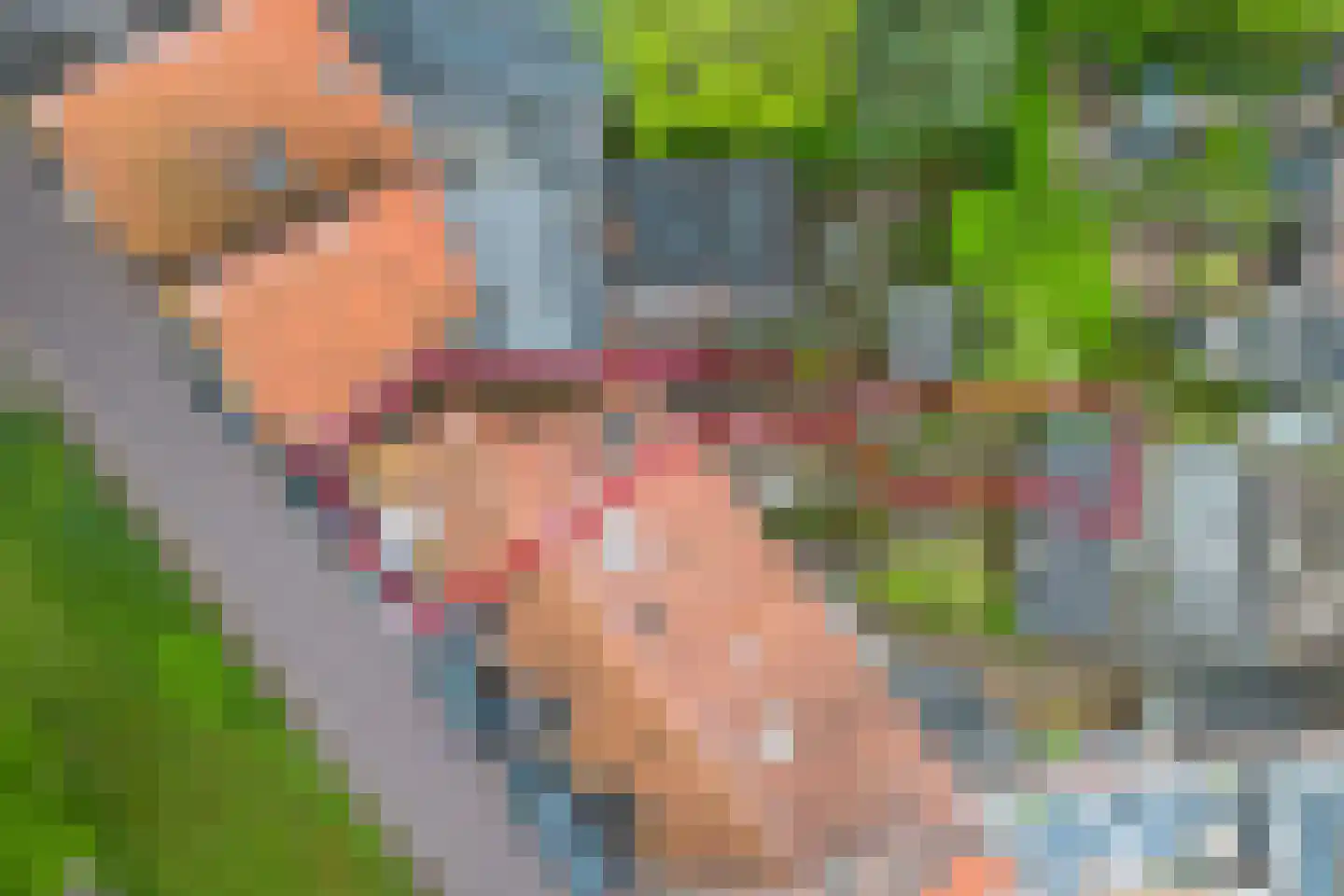 Achter de Vest 10 Hoorn thumbnail 55