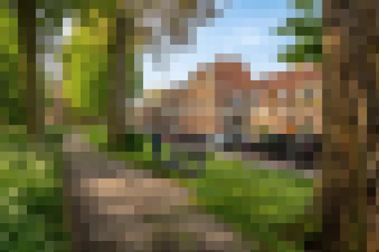 Achter de Vest 10 Hoorn thumbnail 57