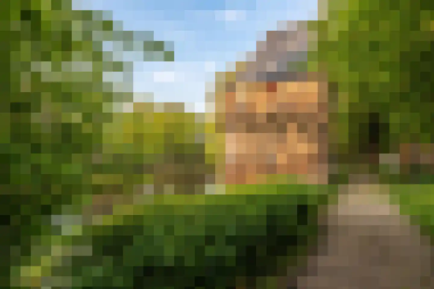 Achter de Vest 10 Hoorn thumbnail 58