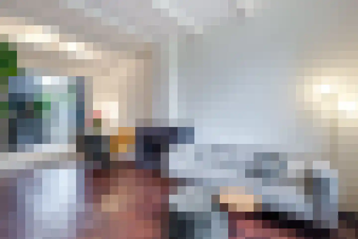 Achter de Vest 10 Hoorn thumbnail 8