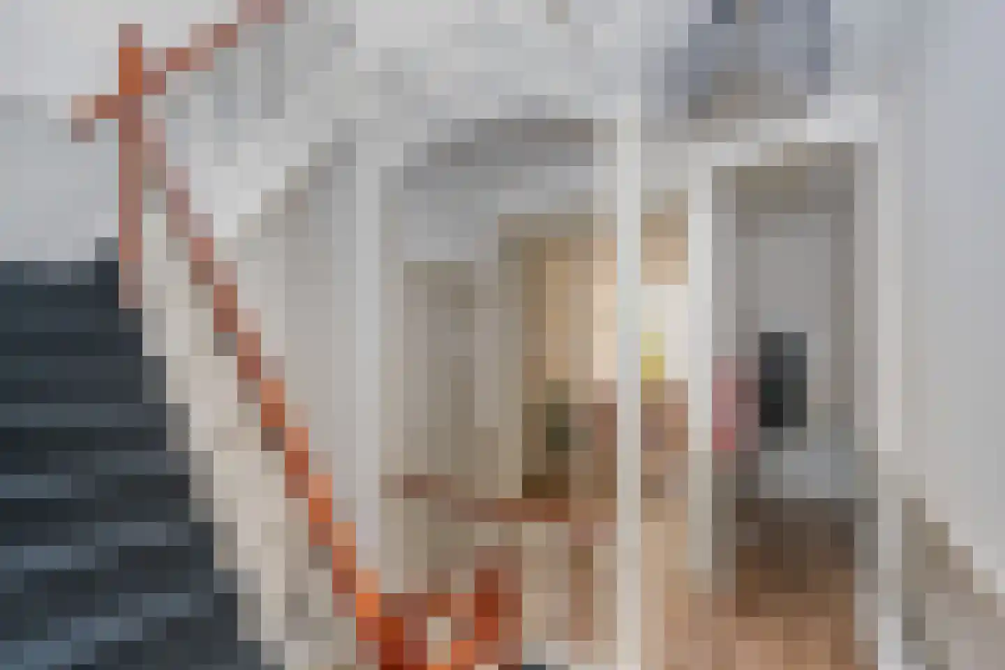 Achter de Vismarkt 1 e Gouda thumbnail 15
