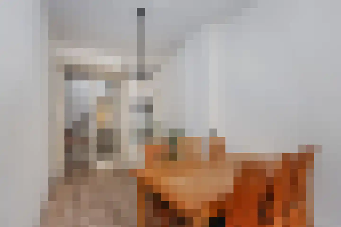 Achter de Vismarkt 1 e Gouda thumbnail 17