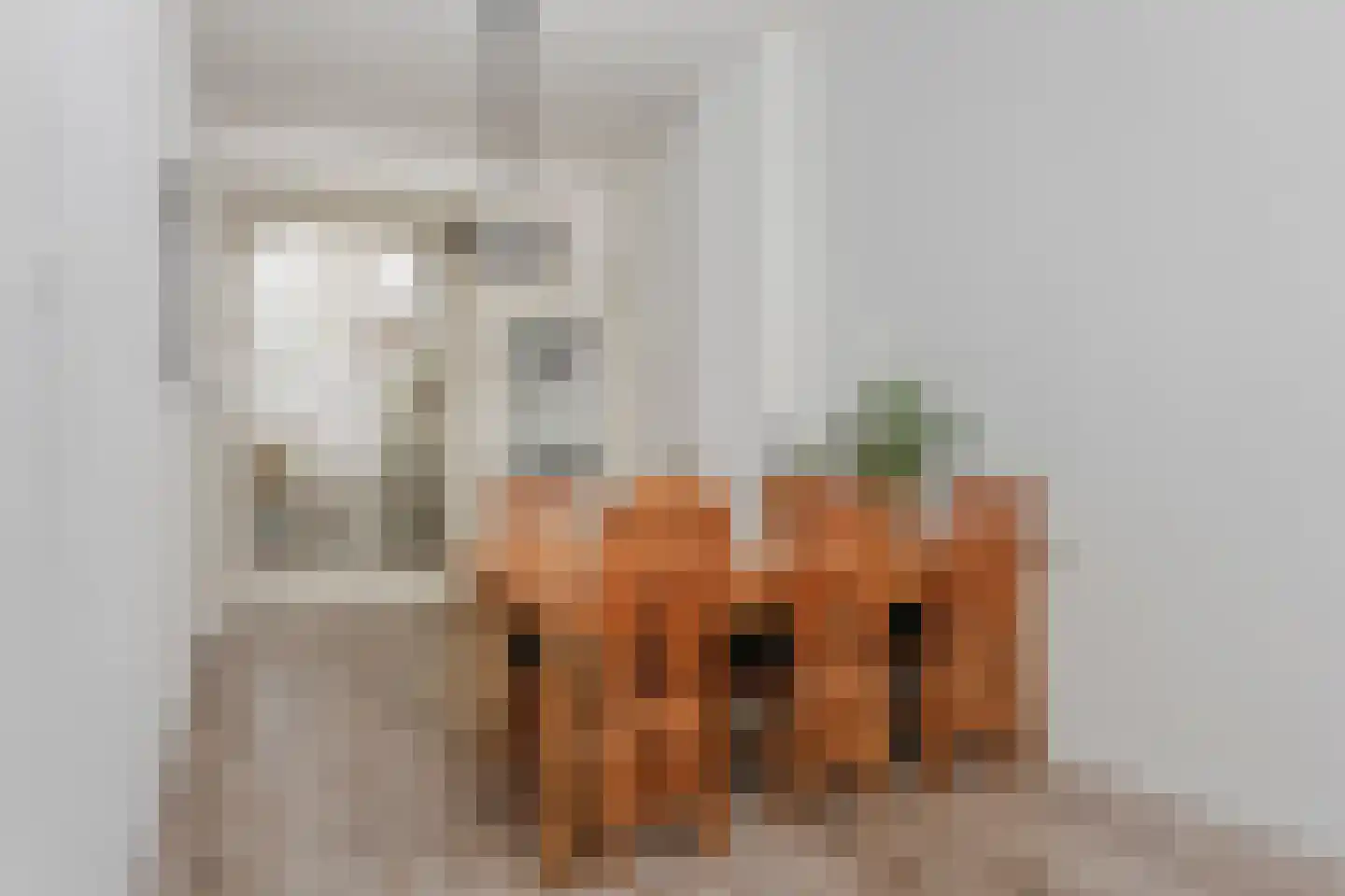 Achter de Vismarkt 1 e Gouda thumbnail 18
