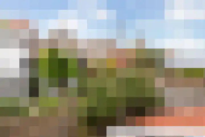 Achter de Vismarkt 11 Gouda thumbnail 27