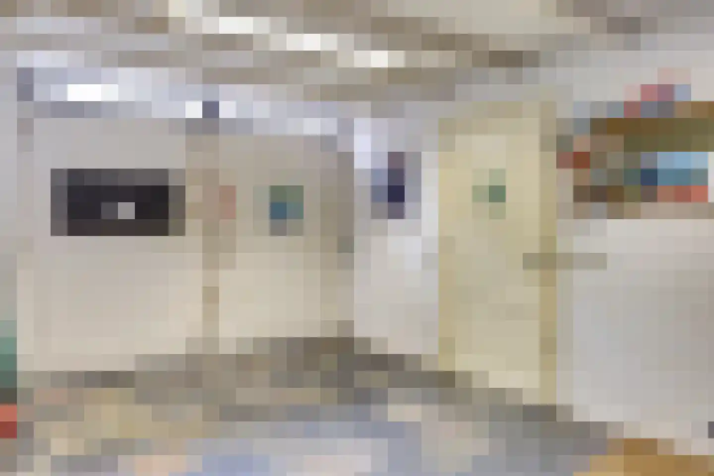Achter de Vismarkt 14 Gouda thumbnail 23