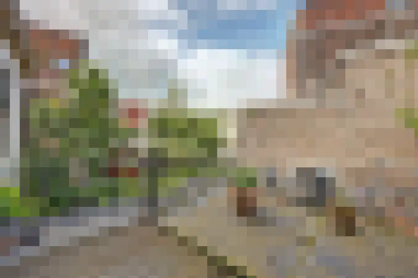 Achter de Vismarkt 14 Gouda thumbnail 4