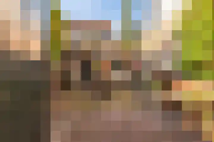 Achter de Vismarkt 23 Gouda thumbnail 39