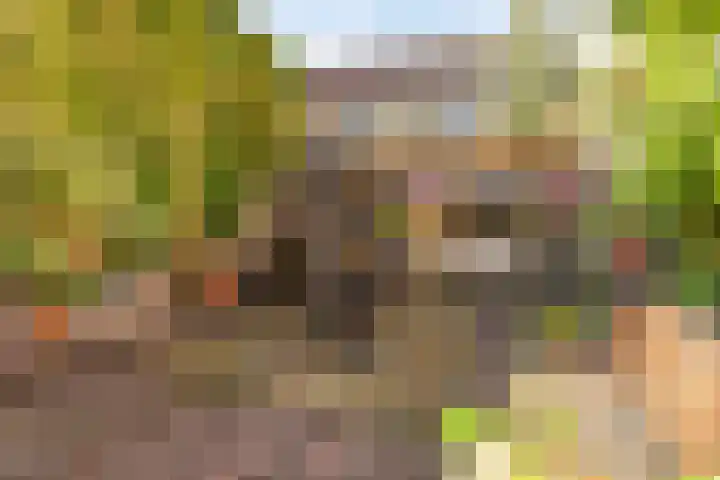 Achter de Vismarkt 23 Gouda thumbnail 4